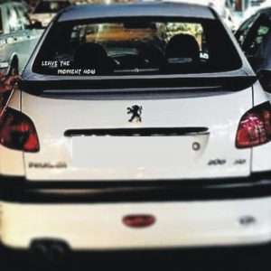 نمایی از برچسب بدنه خودرو لیزارد طرح فانتزی زندگی کن