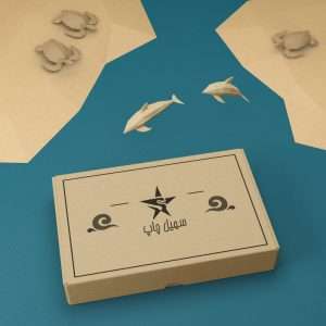 نمایی از برچسب بدنه خودرو سهیل چاپ طرح پشت آینه – بسته ۲ عددی