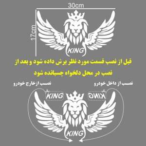 پیش‌نمایش برچسب بدنه خودرو ماتریسیو طرح بال King کد M247