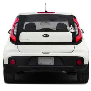 برچسب بدنه خودرو رایسان طرح گربه کد SC001 - نمای کلی