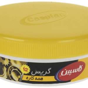 گریس کاسپین مدل Multipurpose 100 گرم، روانکاری چند منظوره با کیفیت