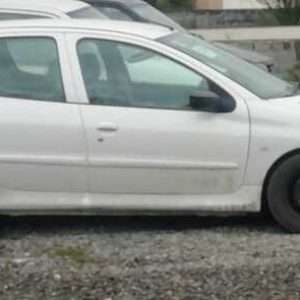 سپر اسپرت جلو آرسی 206 با توری خطی پس کرایه